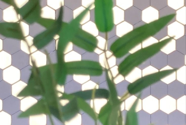 Produto sendo usado no fundo pra chamar atenção para uma planta.