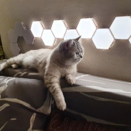 Ambiente de uma sala aconchegante com o produto no fundo.